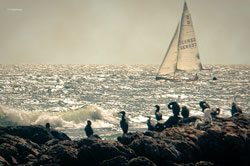 # 28138 > Enrique Abal Oli&uacute;