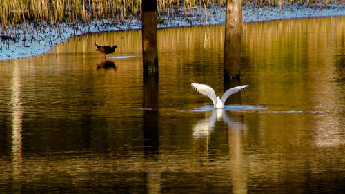 # 60167 > Enrique Abal Oli&uacute;