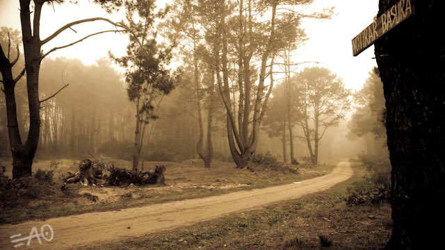 # 64598 > Enrique Abal Oli&uacute;