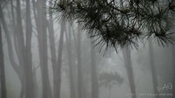 # 64602 > Enrique Abal Oli&uacute;