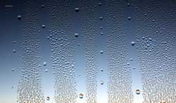 Condensaci&oacute;n > Cecilia Pereira Alvarez