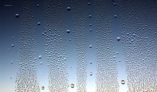 Condensaci&oacute;n > Cecilia Pereira Alvarez