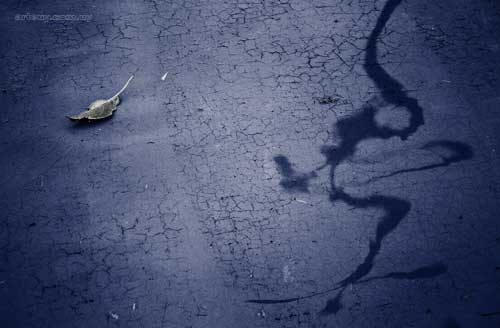 Oto&ntilde;o > Cecilia Pereira Alvarez